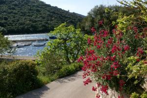 Apartment Vrbovica 4452c