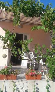 Holiday house with a parking space Zadar - 11795