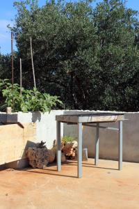 Apartment Lumbarda 4376a