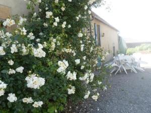 Maisons de vacances Gite Souvigny, 5 pieces, 10 personnes - FR-1-489-231 : photos des chambres