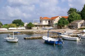 Apartments by the sea Prizba, Korcula - 4479