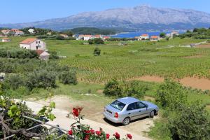 Apartments with a parking space Lumbarda, Korcula - 4352