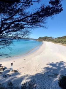 The Husky House or The Husky Studio Suite stayinjervisbay com