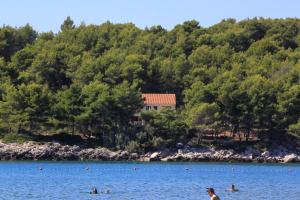 Seaside apartments with a swimming pool Lumbarda, Korcula - 4404