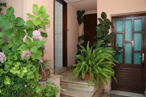 Rooms by the sea Vrboska (Hvar) - 4600