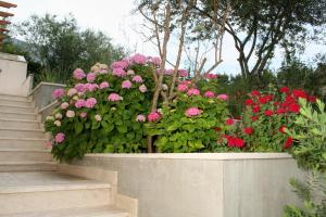 Apartment Orebic 4565f