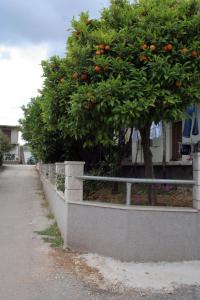 Apartments with a parking space Orebic Peljesac  4522