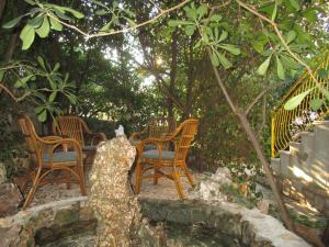 Apartments by the sea Ivan Dolac, Hvar - 4584