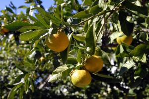 Double Room Jelsa 4602a