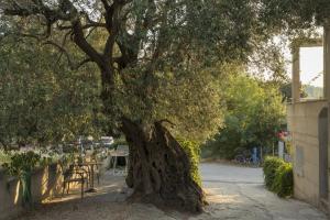 Studio Zuljana 4573b