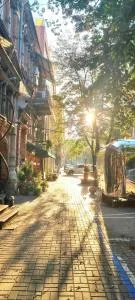 Old Town #Menorah #MostCity - Підгородне