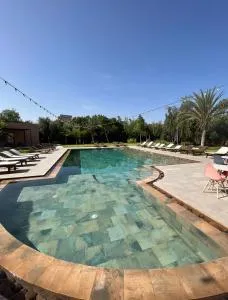 the bird - Douar Caïd Layadi