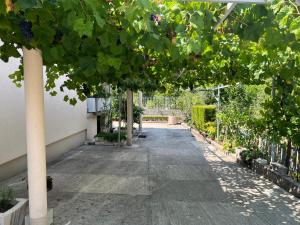 NEÐO Apartments Brda