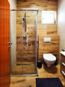 Family-friendly apartments with swimming pool Bibinje, Zadar - 5778