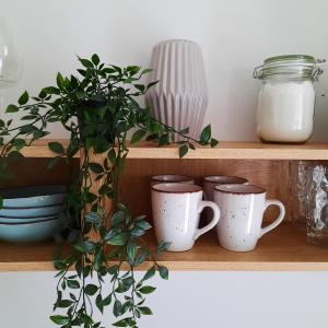 Kesterciems seaside apartment with terrace