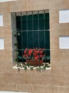 El Rincón del Rey - Galápagos