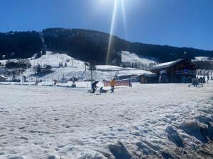 Appartements Chaleureux appartement renove ambiance chalet : photos des chambres