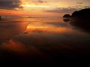The Backyard Beachfront Hotel