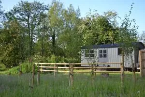 Large Luxury Shepherds Hut with Hot Tub nr Bath - Publow