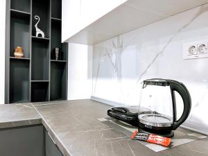 Luxury apartment Struga