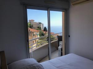 Citronnier Monaco Sea View