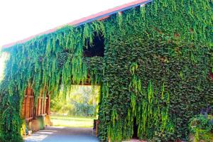 Maisons de vacances Maison d'une chambre avec jardin clos et wifi a Cherveix Cubas : photos des chambres