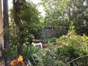 B&B / Chambres d'hotes LA MAISON D'IVONA : Chambre Double - Vue sur Jardin