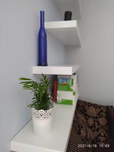 Fantastic By The Sea ApartmentUp With Love