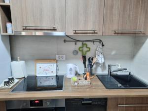 Biser Dunava -- Pearl of Danube Apartment