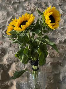 Torre dell’Angelo B&B