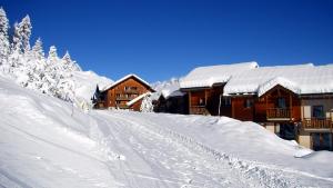 Les appartements du Parc aux Etoiles - Cimes et Neiges : photos des chambres