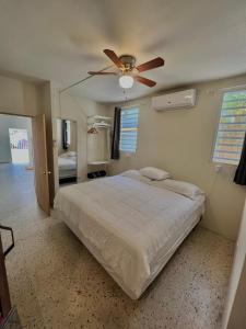 One-Bedroom Apartment room in Casa Cecilia PR