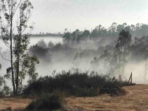Cabaña Bosque Tunquen