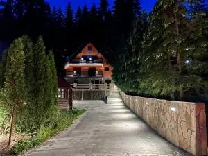 Apartmani Megara Vlasic - Šišava