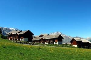 Appartements Les Chalets du Parc aux Etoiles - Cimes et Neige : photos des chambres