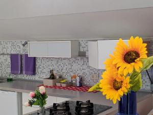 RESIDENZA GATTO SILVESTRO A 2 MINUTI DAL MARE E DALLA FIERA