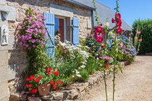 B&B / Chambres d'hotes Kerouidret : photos des chambres
