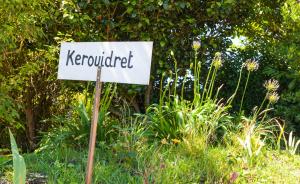 B&B / Chambres d'hotes Kerouidret : photos des chambres