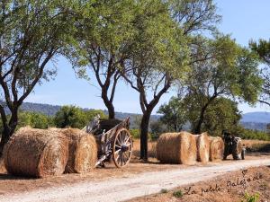 Maisons de vacances La petite Galejade : photos des chambres