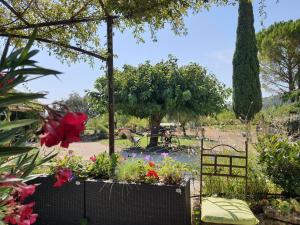 Maisons de vacances La petite Galejade : photos des chambres