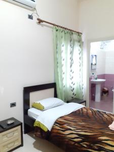 Budget Single Room room in Hotel Shpetimi