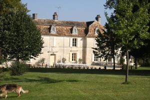 Château Manoir de la Lèche photo 24