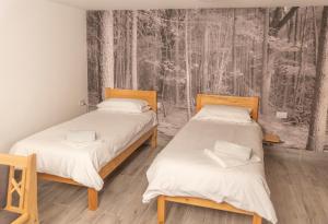 Lodges at Flimwell Park