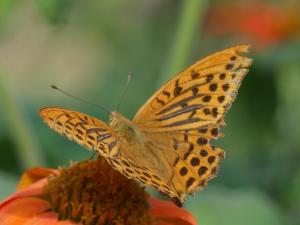 B&B / Chambres d'hotes Source Nature : photos des chambres