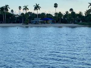 This Homestay Oasis Is The Capes Best Place To Stay