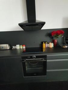 Villas EXIGEHOME-Magnifique Loft a 15 minutes de Paris : photos des chambres