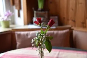 Landgasthof Grüner Baum - Oberkotzau