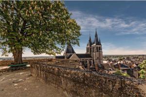 Appartements Appartement coeur de Blois /heart of the city : photos des chambres