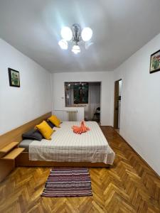 Miha modern and central apartament Malul Mureșului