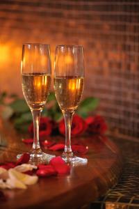 Special Offer - Double Room with New Year's Package room in Hotel Kristal - Terme Krka